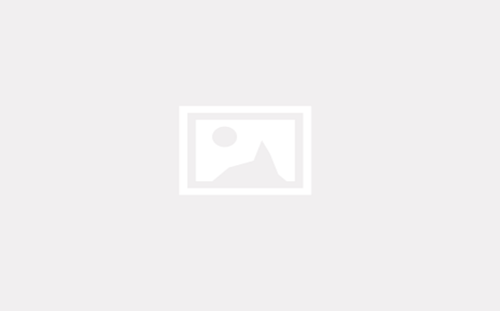 SWITCH ON ENJOYMENTS BLOGS
